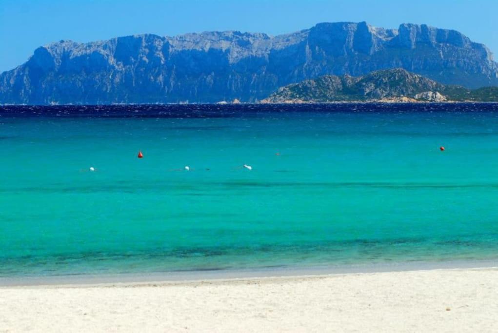 Sardegna Casa A 250 Metri Dal Mare Con Piscina Apartment Olbia Ngoại thất bức ảnh